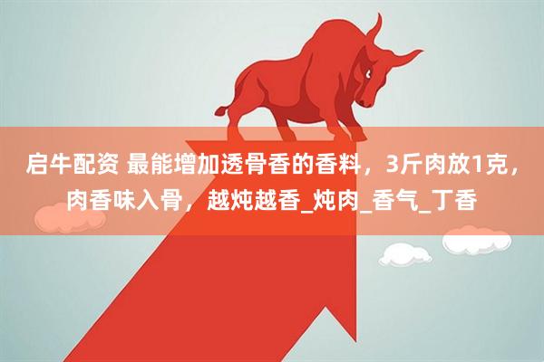 启牛配资 最能增加透骨香的香料，3斤肉放1克，肉香味入骨，越炖越香_炖肉_香气_丁香