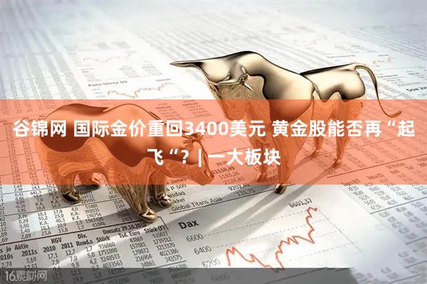 谷锦网 国际金价重回3400美元 黄金股能否再“起飞“？| 一大板块
