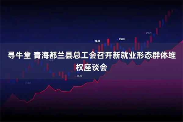 寻牛堂 青海都兰县总工会召开新就业形态群体维权座谈会