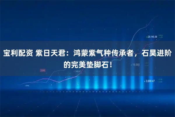 宝利配资 紫日天君：鸿蒙紫气种传承者，石昊进阶的完美垫脚石！
