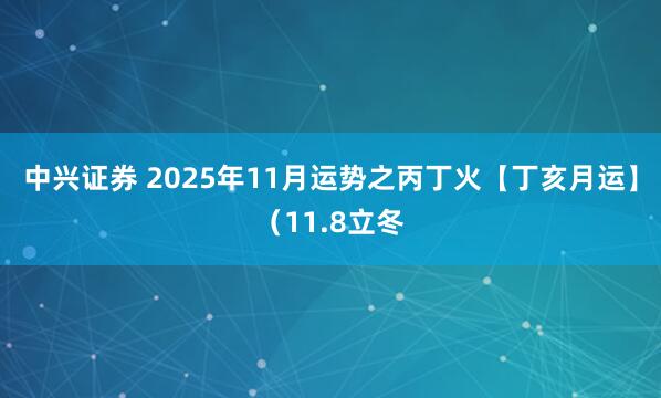 中兴证券 2025年11月运势之丙丁火【丁亥月运】（11.8立冬